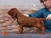 Contario Ode Taleyta, 5 weeks, orange girl