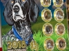 Серия 8 сувенирных монет 25 рублей - Год собаки 2018 - в планшете