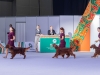 Contario Ode kennel Eurasia 25