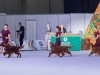Contario Ode kennel Eurasia 25