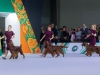 Contario Ode kennel Eurasia 2025-1