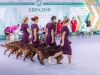 Contario Ode kennel Eurasia 2025-1