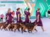 Contario Ode kennel Eurasia 2025-1
