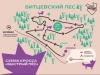 Кросс «Быстрый пёс». Апрель 2025