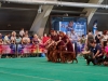 BIS kennel day1