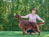 Contario Ode Jasmine 2.6 years