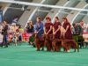 RBIS kennel day2