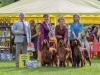 Contario Ode – BEST IN SHOW Kennel (1/3)