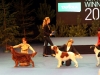Contario Ode Winconta, Finnish Winner Show 2011, CAC, CC, CACIB, BOB