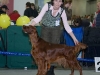 Afrodita My Princess For Contario Ode на Евразии 2010, Победитель класса Чемпионов, 3я Лучшая сука породы