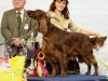 Contario Ode Winconta, Лучшая собака 7 группы на международной выставки Россия-2011