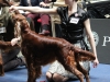 18.05.2012, World Dog Show Salzburg