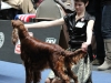 18.05.2012, World Dog Show Salzburg