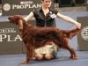 18.05.2012, World Dog Show Salzburg