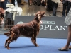 18.05.2012, World Dog Show Salzburg