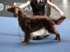 18.05.2012, World Dog Show Salzburg