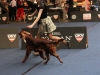 18.05.2012, World Dog Show Salzburg