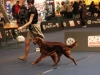 18.05.2012, World Dog Show Salzburg