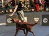 18.05.2012, World Dog Show Salzburg