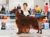 Монопородная выставка ранга ПК в рамках России 2014, Contario Ode Divin Essor - CW, CC, 3d Best Dog