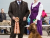 Contario Ode Capella - Победитель клуба 2013, Лучшая собака монопородной выставки!