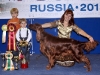 Contario Ode Winconta, Лучшая собака 7 группы на России 2011