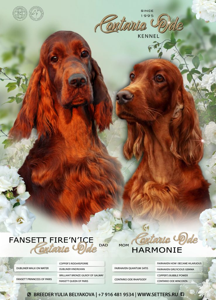 Contario Ode Harmonie X Fansett Fire’N’Ice Contario Ode