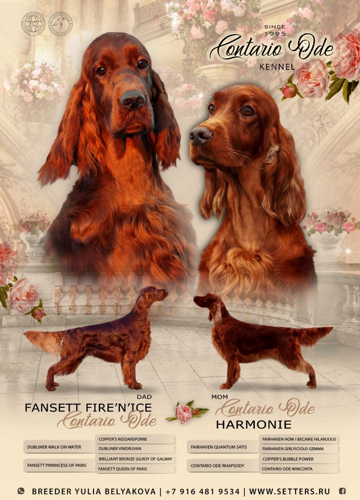 Помет «E»: Contario Ode Harmonie X Fansett Fire’N’Ice Contario Ode