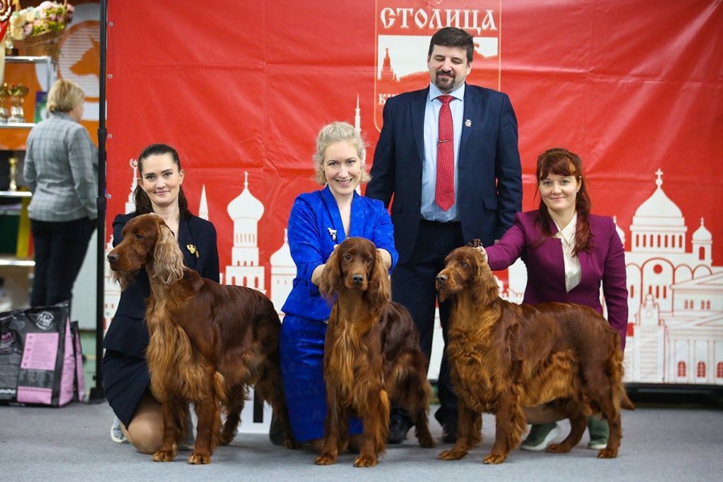 «Контарио Оде» - Лучший питомник Национальной выставки Ирландских сеттеров 2023 и
Лучший питомник Всепородной выставки собак