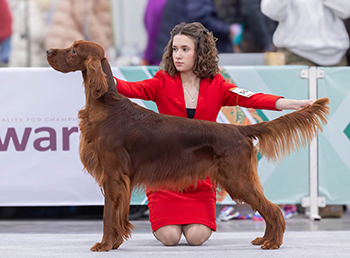 Contario Ode Leggiadro