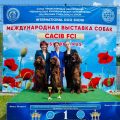 image-18-06-25-01-54-3