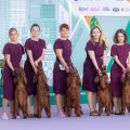 E16A8997_kennel Eurasia 2025-1