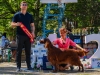 Contario Ode Florence дважды Best in Show Vetaran в Краснодаре!