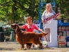 Contario Ode Florence дважды Best in Show Vetaran в Краснодаре!