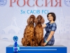 Лучшая пара выставки Россия 2019!