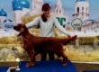 Международная выставка собак всех пород «Владимир 2020» (РФОС) / IDS «Vladimir 2020»