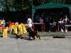 17.06.2012 г.Клин, Всероссийская выставка