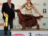 Nordic & Finnish Winner Shows 2009, Contario Ode Winconta - 2*BOB, BIG-III