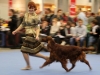 Contario Ode Winconta, Finnish Winner Show 2011, CAC, CC, CACIB, BOB