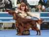 Россия 2011, Contario Ode Winconta - CAC, CACIB, BOB, Best in Group - I