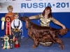 Россия 2011, Contario Ode Winconta - CAC, CACIB, BOB, Best in Group - I