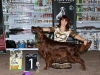 Украина, Харьков 2011, Contario Ode Winconta - CAC, CACIB, BOB, Best in Group - I