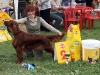 Contario Ode Capella, 14 месяцев, г. Клин, 2*BBJ, 2*BOB, 2*BIG-I, 2*Best in Show Juniors, R.Best in Show, Best in Show - III