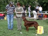 Contario Ode Capella, 14 месяцев, г. Клин, 2*BBJ, 2*BOB, 2*BIG-I, 2*Best in Show Juniors, R.Best in Show, Best in Show - III