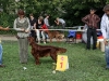 Contario Ode Capella, 14 месяцев, г. Клин, 2*BBJ, 2*BOB, 2*BIG-I, 2*Best in Show Juniors, R.Best in Show, Best in Show - III