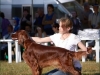 "Владимир - 2012", Afrodita My Princess For Contario Ode - CAC, Чемп. РКФ, CACIB, BOB, Best in Group - I, "Лучшая охотничья собака выставки - II"