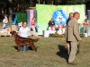 "Владимир - 2012", Afrodita My Princess For Contario Ode - CAC, Чемп. РКФ, CACIB, BOB, Best in Group - I, "Лучшая охотничья собака выставки - II"