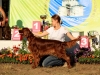 "Владимир - 2012", Afrodita My Princess For Contario Ode - CAC, Чемп. РКФ, CACIB, BOB, Best in Group - I, "Лучшая охотничья собака выставки - II"