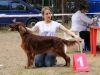 "Владимир - 2012", Afrodita My Princess For Contario Ode - CAC, Чемп. РКФ, CACIB, BOB, Best in Group - I, "Лучшая охотничья собака выставки - II"