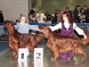 Евразия - 2012 -2, Contario Ode Winconta - CAC, CACIB, Чемпион Евразии, Чемпион РКФ, BOS